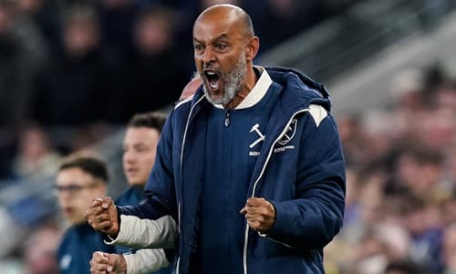 West Ham manager Nuno Espirito Santo celebrates his team scoring against Everton