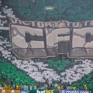 Celtic, Green Brigade