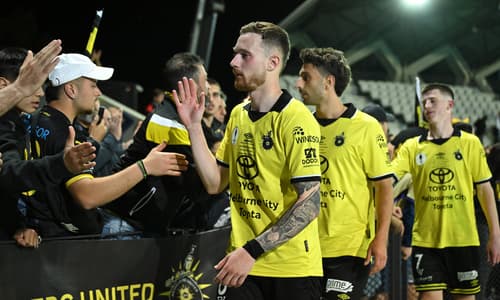 Heidelberg United, 2025
