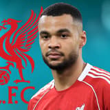 Cody Gakpo, Liverpool