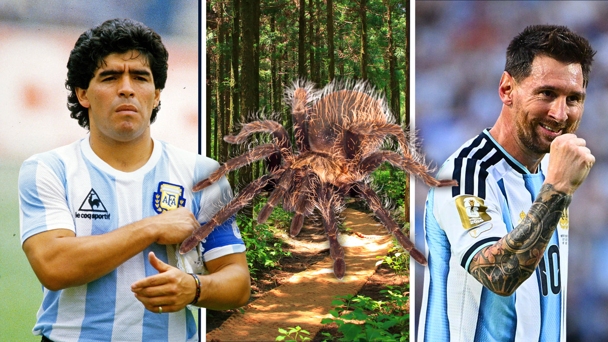 Diego Maradona, Lionel Messi, animal species