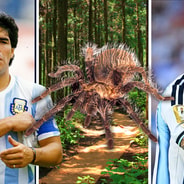 Diego Maradona, Lionel Messi, animal species