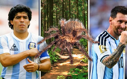 Diego Maradona, Lionel Messi, animal species