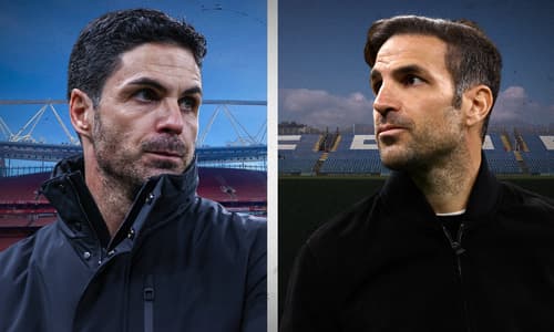 Mikel Arteta Cesc Fabregas