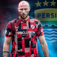 Mike van der Hoorn, Persib Bandung
