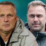 John van den Brom, Robin Veldman