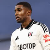 Reiss Nelson, Fulham