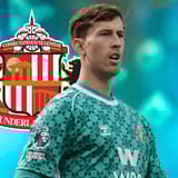 Robin Roefs, Sunderland