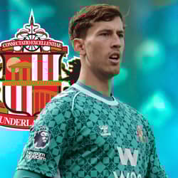 Robin Roefs, Sunderland