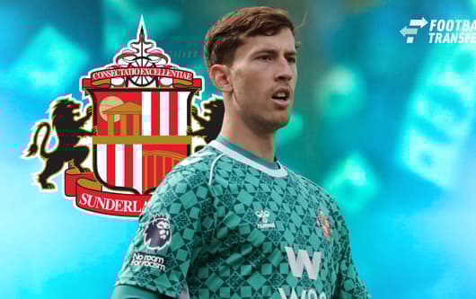 Robin Roefs, Sunderland