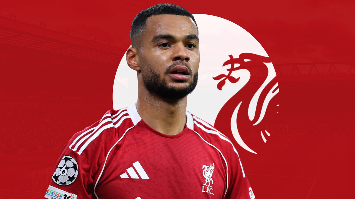 Cody Gakpo Liverpool