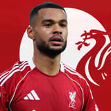 Cody Gakpo Liverpool