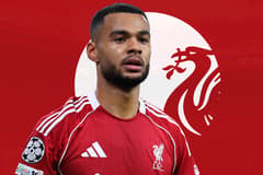 Cody Gakpo Liverpool