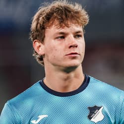 Cole Campbell, Dortmund, Hoffenheim