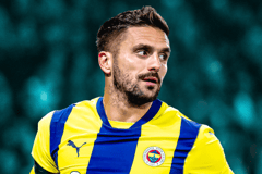 Dusan Tadic, Fenerbahçe