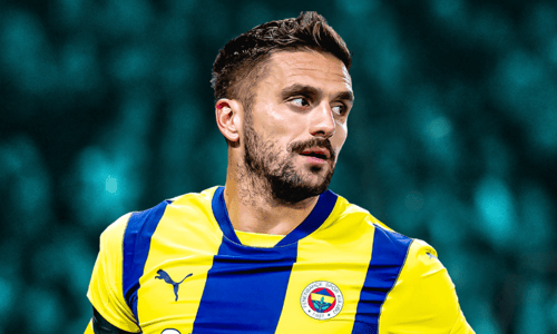 Dusan Tadic, Fenerbahçe