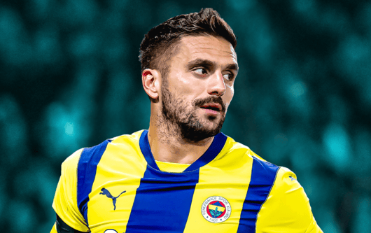 Dusan Tadic, Fenerbahçe