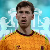 Robin Roefs, Sunderland