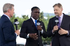 Clarence Seedorf, Peter Schmeichel, Fox
