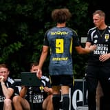 Johan Plat, Cambuur