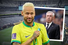 Neymar, Carlo Ancelotti, Brazil, World Cup