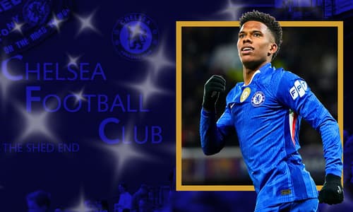 Willian Estevao, Chelsea, 2025/26