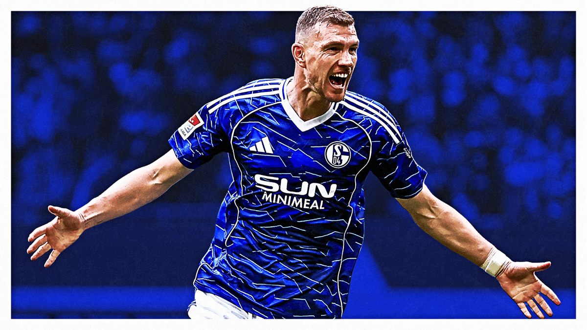 Edin Dzeko, Schalke
