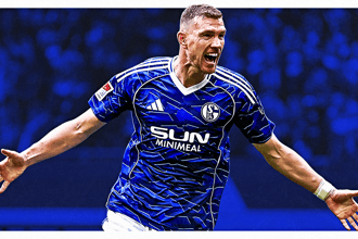 Edin Dzeko, Schalke