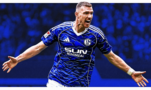 Edin Dzeko, Schalke