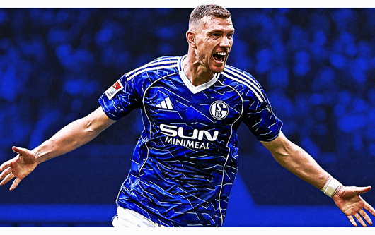 Edin Dzeko, Schalke