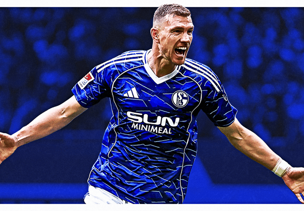 Edin Dzeko, Schalke