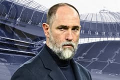 Igor Tudor, Tottenham