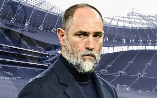 Igor Tudor, Tottenham
