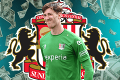 Robin Roefs, Sunderland