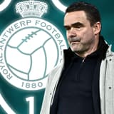 Marc Overmars, Royal Antwerp