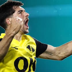 Leo Greiml, NAC Breda