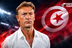 Hervé Renard, Tunesië