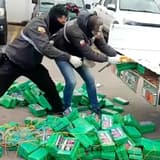 Erling Haaland, cocaine bust