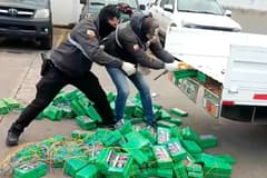 Erling Haaland, cocaine bust