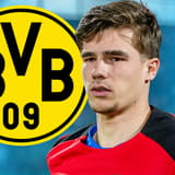 Wouter Goes, Dortmund