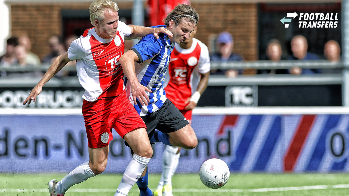 Jurrian van Eerden, IJsselmeervogels