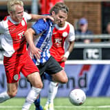 Jurrian van Eerden, IJsselmeervogels