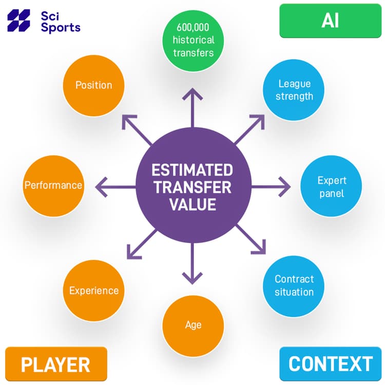 De Estimated Transfer Value wordt gebaseerd op verschillende factoren. Bijvoorbeeld: leeftijd, speelstijl, historische prestaties en ervaring. 