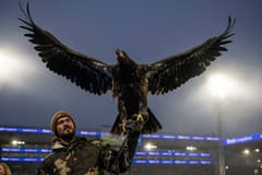 Crystal Palace eagle