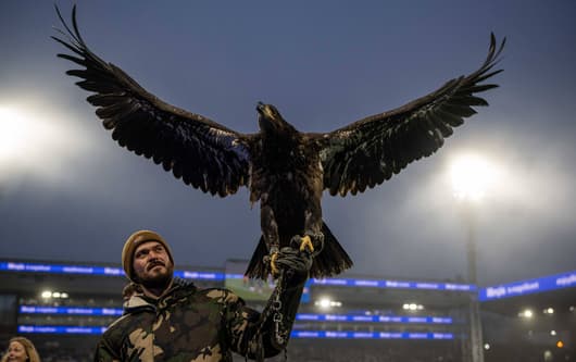 Crystal Palace eagle