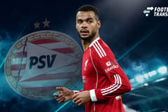 Cody Gakpo, PSV
