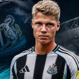 Sean Steur, Newcastle United