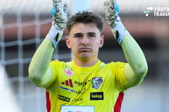 Nikolas Polster