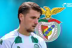 Stije Resink, Benfica