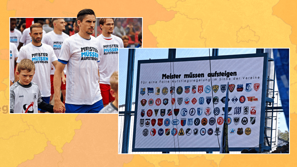 Germany promotion-relegation reform